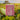 Bar of Bela pure natural soap in a natural background with melons and strawberries.