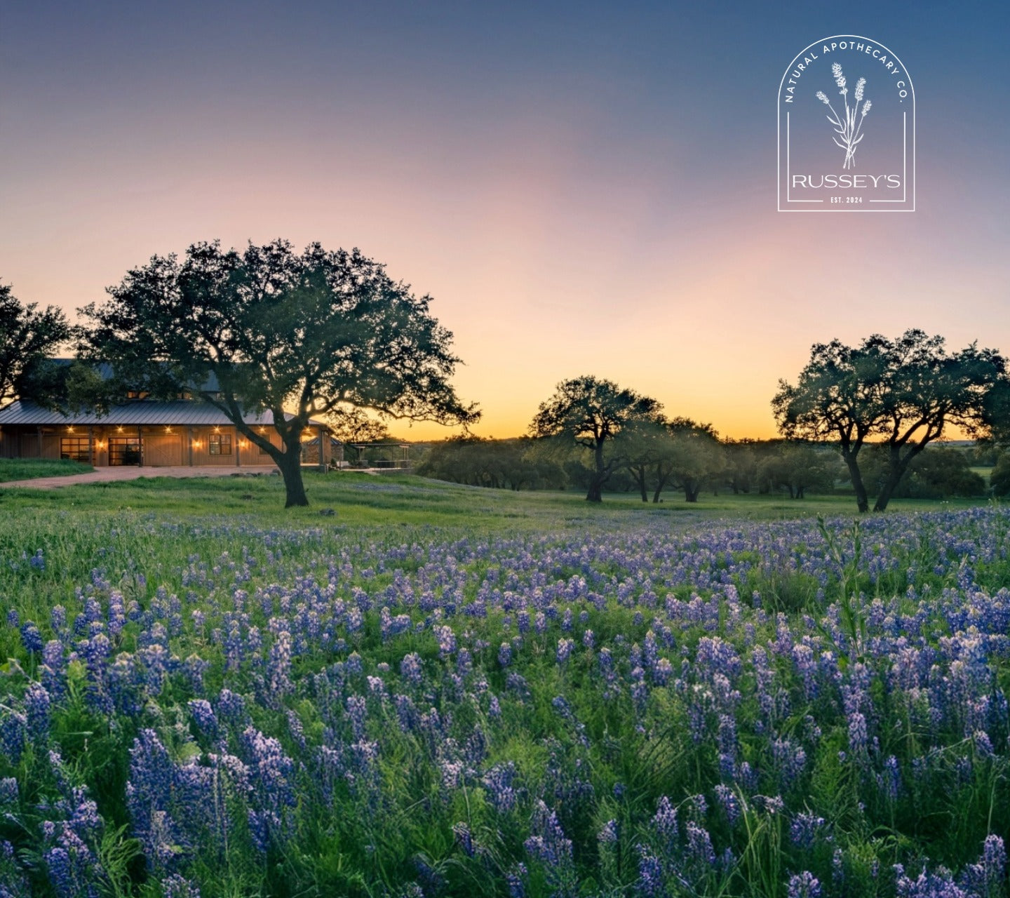 Field of Texas bluebonnet flowers with sunset and trees in the background, featuring Russey's Natural Apothecary LLC logo.
