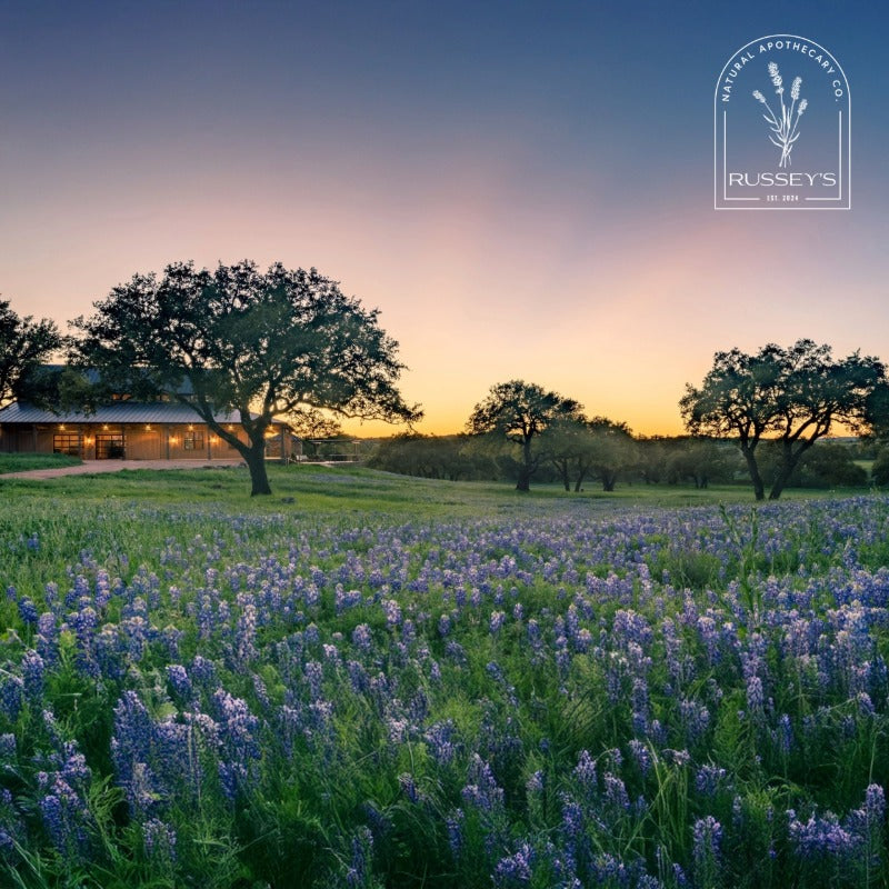 Field of bluebonnet flowers with a Texas sunset and trees in the background, featuring Russey's Natural Apothecary LLC logo.
