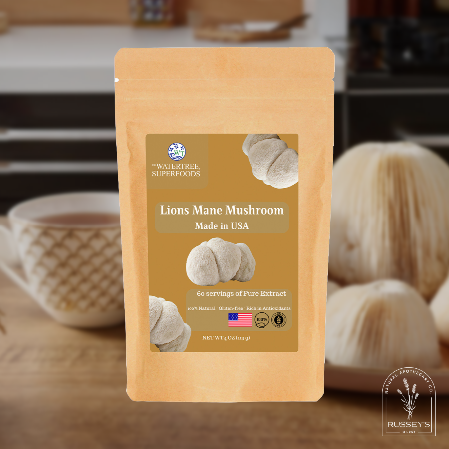 Lion's mane mushroom extract powder by The Water Tree Superfoods (Dream Tree Family) to support cognitive function and brain health